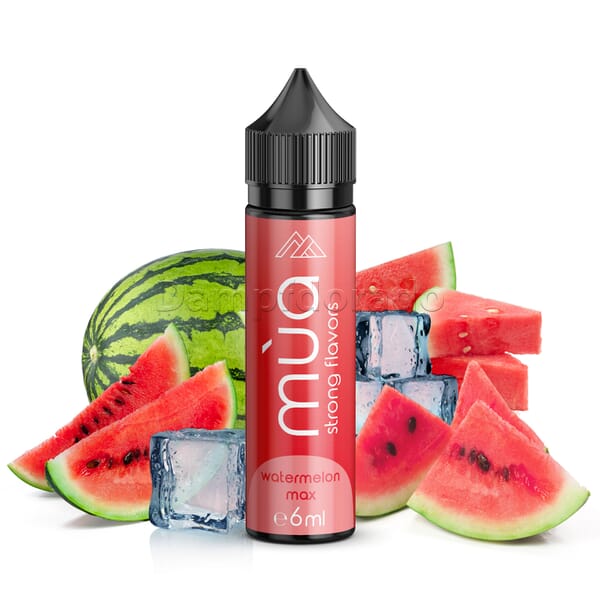 elfbar elfa master akku Watermelon | Aromen von MaZa online kaufen